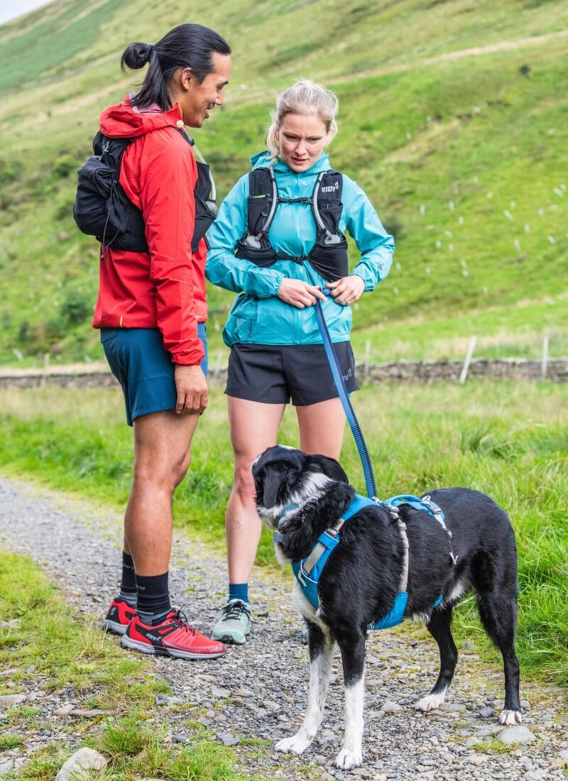 Everything You Need to Run With Your Dog — Running With Your Dog Gear